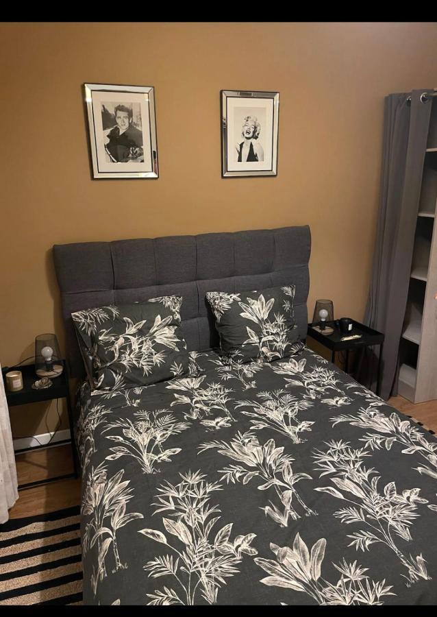 Appartement Complet Centre Ville 布里夫拉盖亚尔德 外观 照片